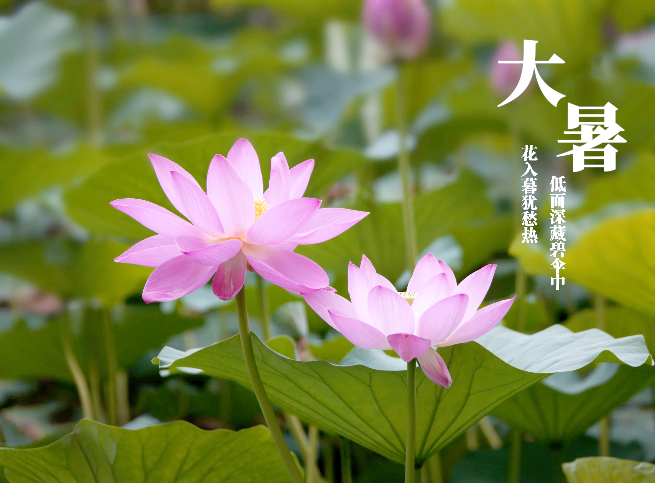 ��ʮ�Ľ���֮����